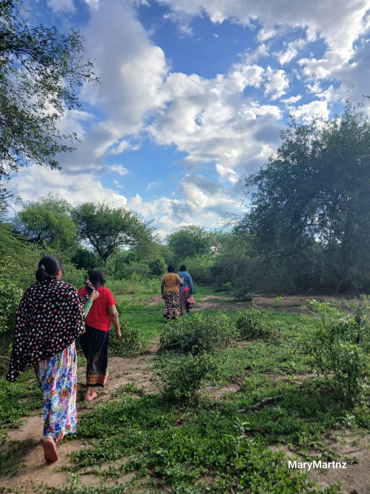 Mujeres wichí caminando al monte