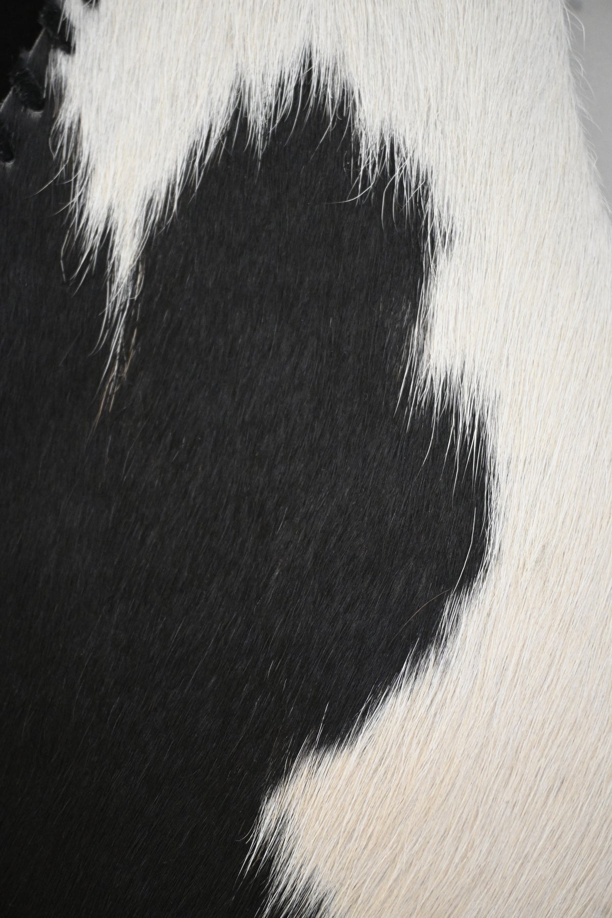 Chaleco Cow